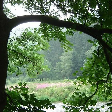 Furnished Bungalow In Monceau En Ardenne With Garden Barbecue Vakantiehuis