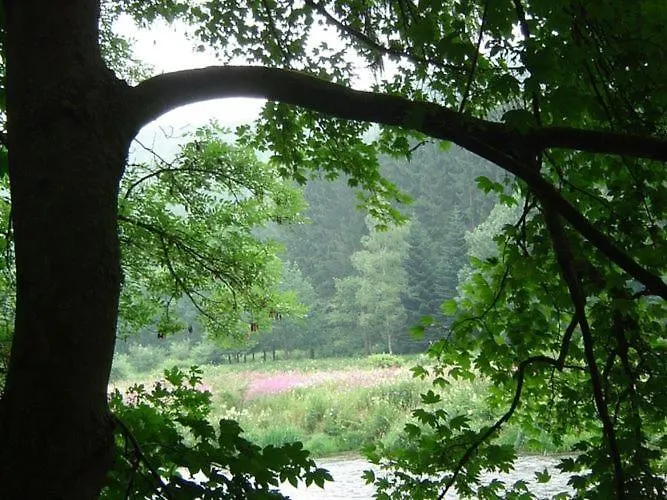 Furnished Bungalow In Monceau En Ardenne With Garden Barbecue Ferienhaus